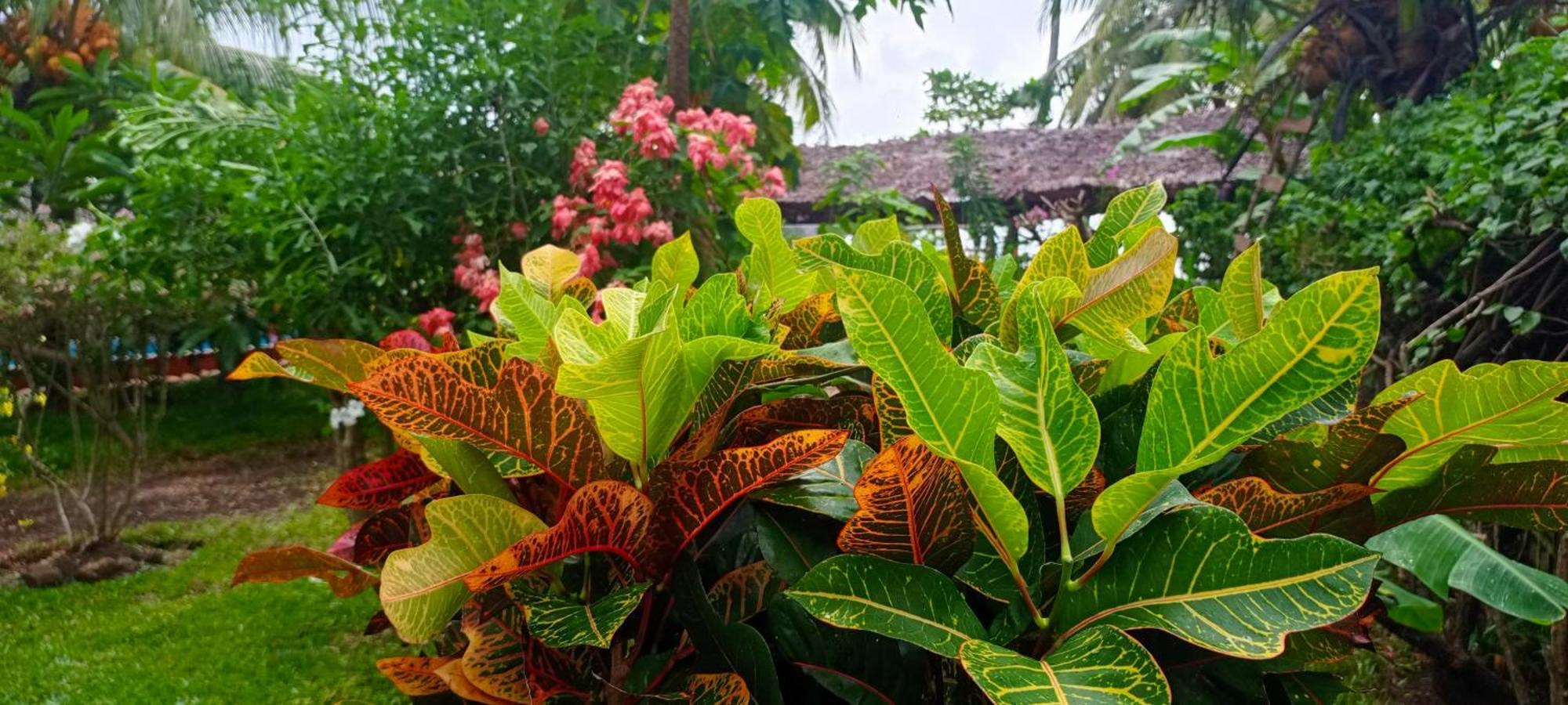 Hotel Piscine Bimoko à Nosy-Be Extérieur photo